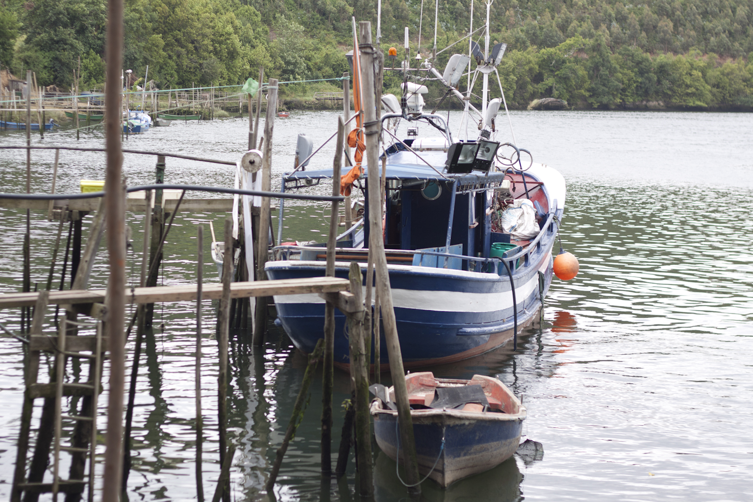 Entorno San Juan de la Arena